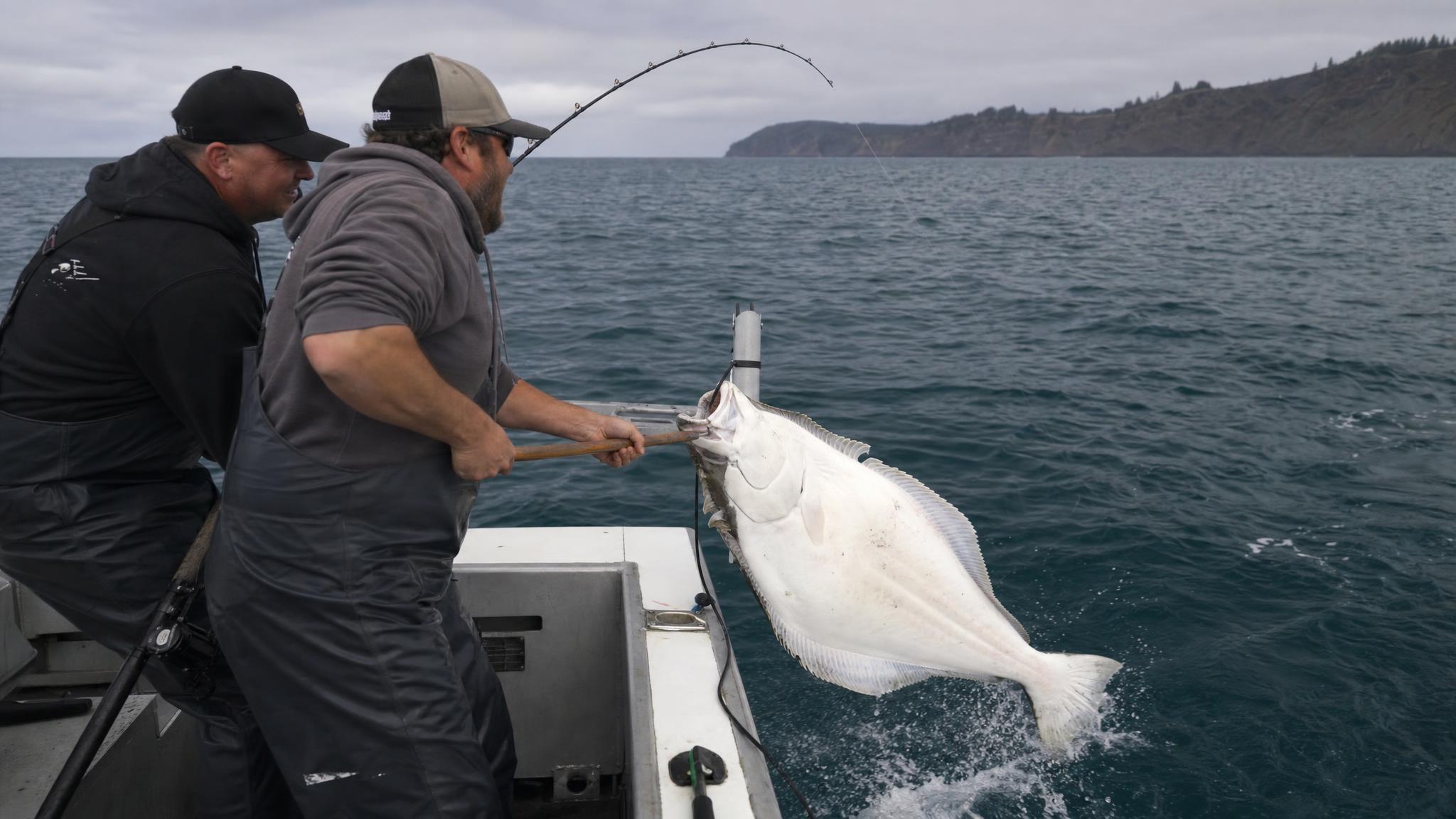 Oregon Pacific Coast Halibut: Fall Bottom Fishing from Newport and Depoe Bay