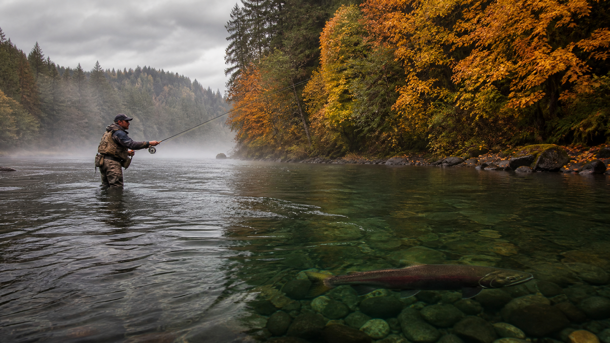 Trask River Fall Chinook Salmon: Tillamook County's Premier September Bank Fishing Guide