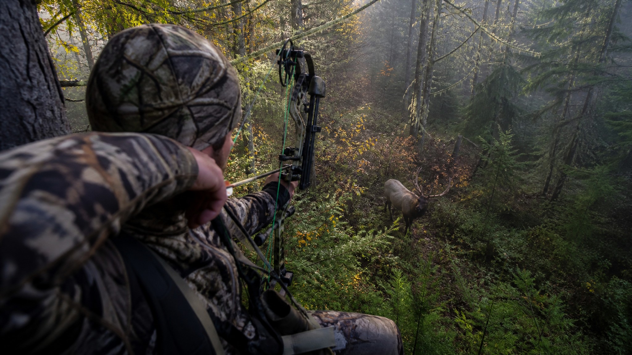 Treestand Placement for Oregon Archery Elk: Reading Terrain, Trails, and Funnels in the Cascade Foothills